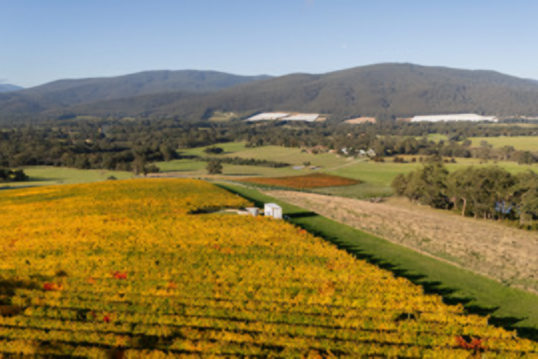Panoramic vineyard and countryside views surrounding Langbrook Farm in the Yarra Valley