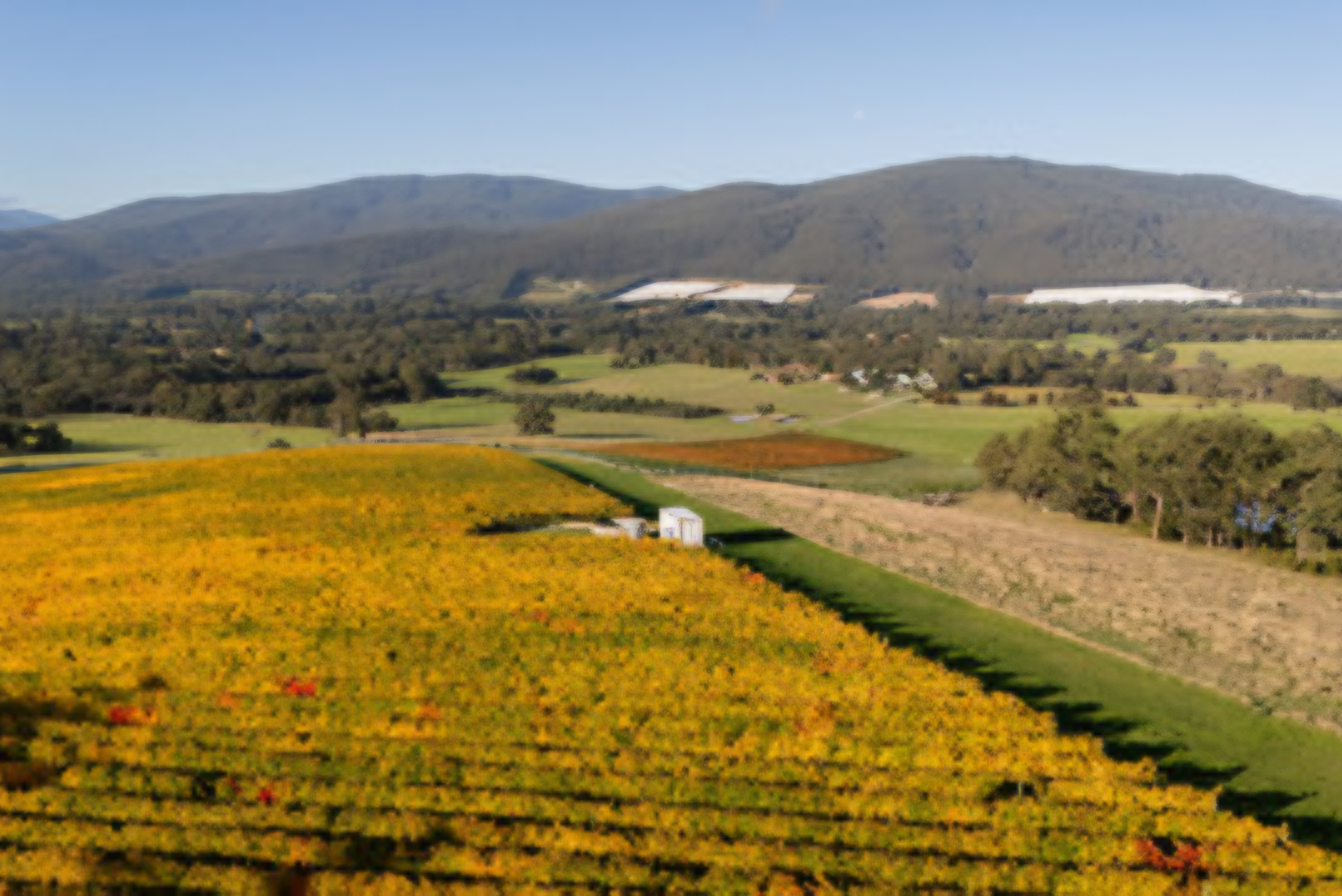 Panoramic vineyard and countryside views surrounding Langbrook Farm in the Yarra Valley