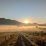Sunrise over vineyards and rolling countryside at Langbrook Farm in the Yarra Valley