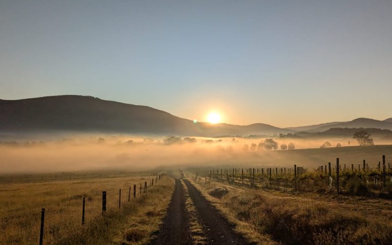 Sunrise over vineyards and rolling countryside at Langbrook Farm in the Yarra Valley